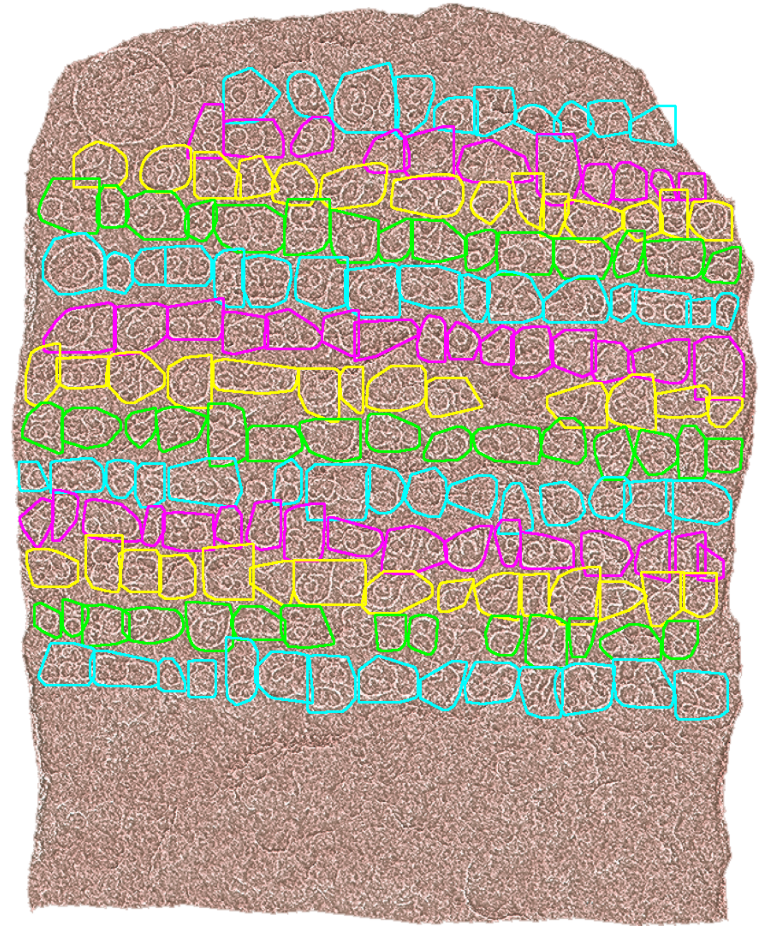 Agara Inscription Character Segmentation